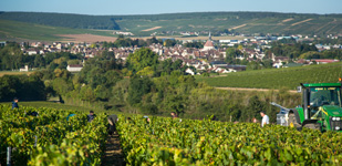 托纳尔坡Montée de Tonnerre - 夏布利/Chablis