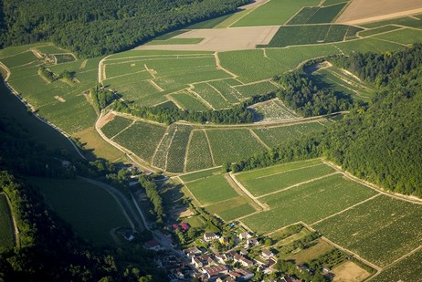 Climat Côte de Vaubarousse