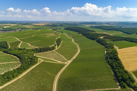 Climat Vau Ligneau