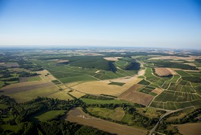 右岸的夏布利一级园/ CHABLIS PREMIER CRU