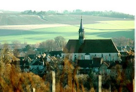 La collégiale Saint Martin