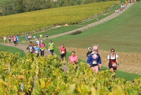 Marathon de Chablis