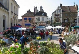 约讷省的葡萄酒市场和鲜花市场/Le Marché des Vins de l’Yonne et marché aux fleurs   