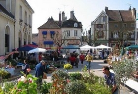 约讷省的葡萄酒市场和鲜花市场/Le Marché des Vins de l’Yonne et marché aux fleurs